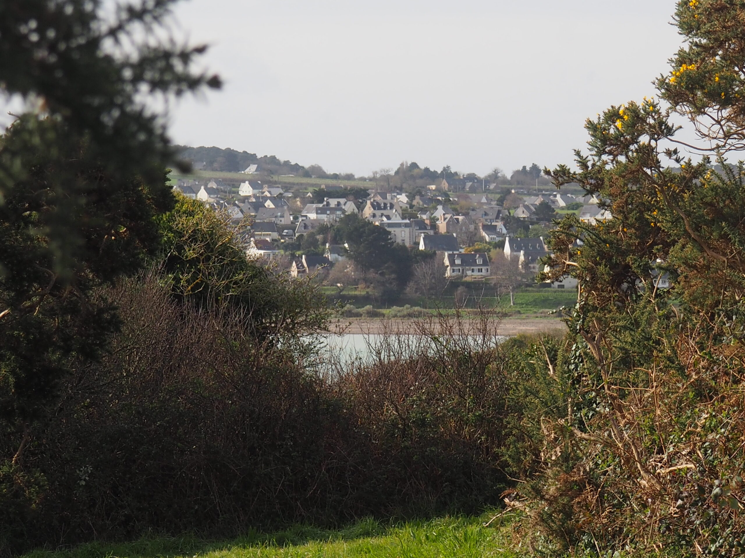 Paimpol : Kernoa défendue par une habitante